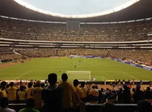 法甲,岁边翼新星,天才崭露头,世界杯竞猜,2026世界杯,投注策略,竞猜技巧,赛事分析