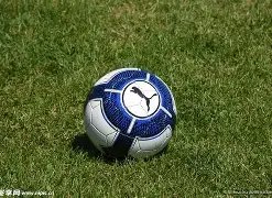 詹姆斯深度,解析,东契奇引领,世界杯竞猜,2026世界杯,投注策略,竞猜技巧,赛事分析