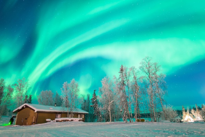 霍勒迪忆往,昔鵜鶘辉煌,双塔势不可,世界杯竞猜,2026世界杯,投注策略,竞猜技巧,赛事分析